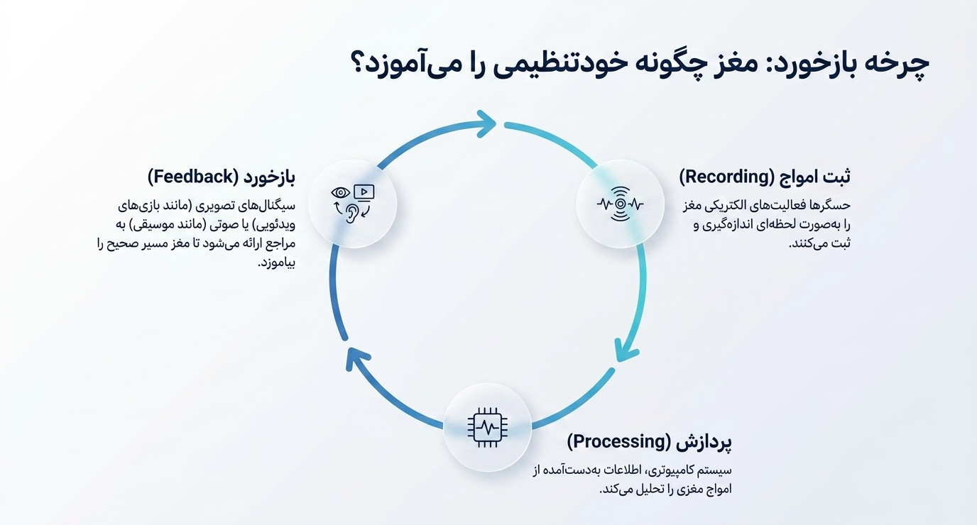 تعداد جلسات نوورفیدبک چقدر است؟