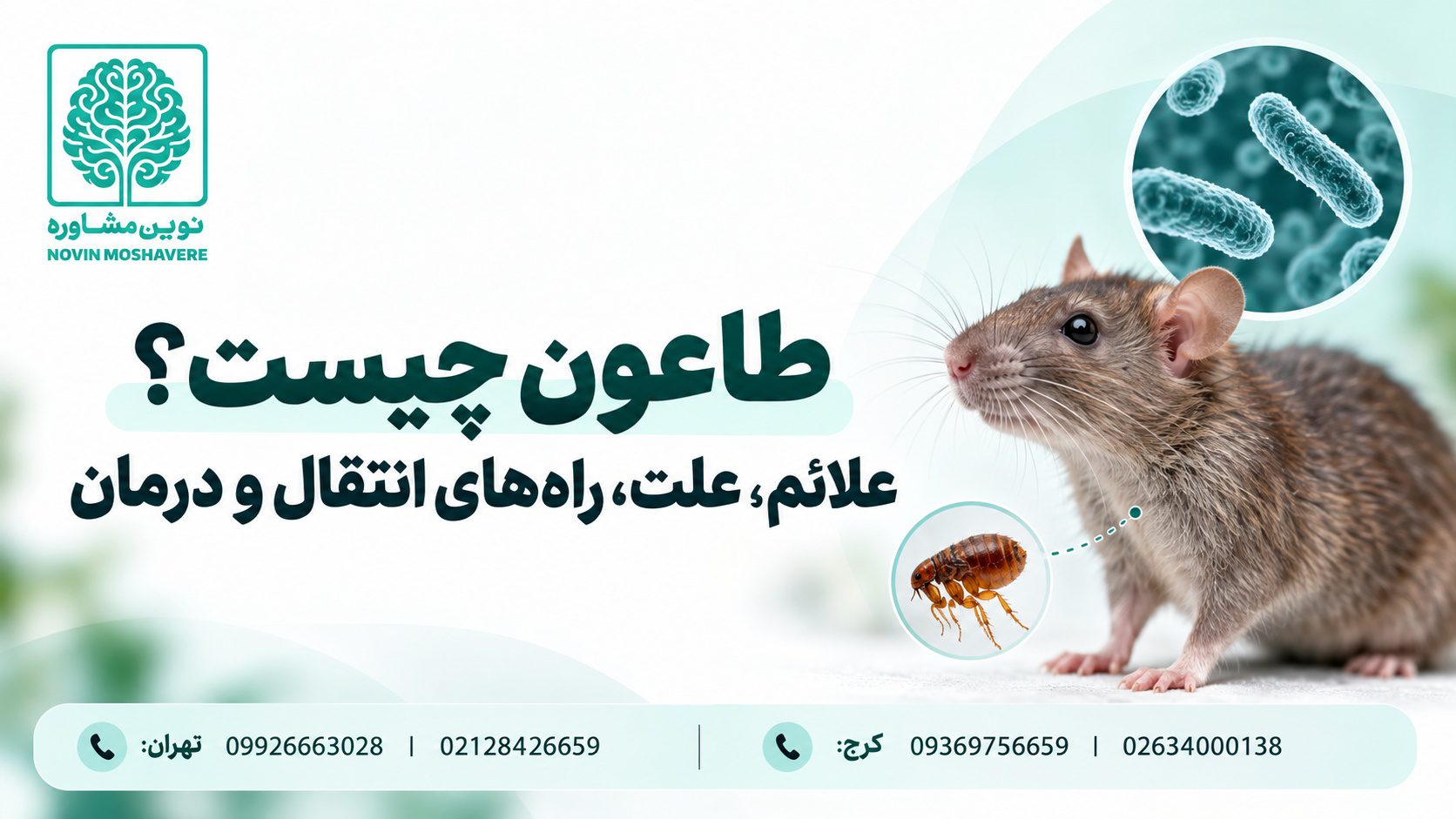 تصویر شاخص طاعون چیست